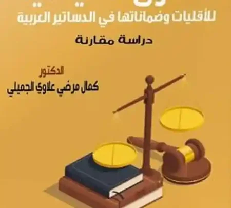 الحقوق السياسية للأقليات وضماناتها