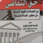 حق التقاضي بين الضمانات والقيود الإجرائية من منظور العدالة والمساواة