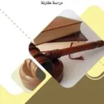 كتاب الرقابة على دستورية الانتخابات النيابية