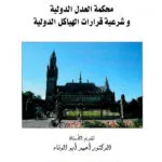 محكمة العدل الدولية وشرعية قرارات الهياكل الدولية