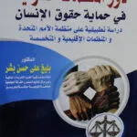 دور المنظمات الدولية