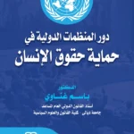 دور المنظمات الدولية في حماية حقوق الانسان